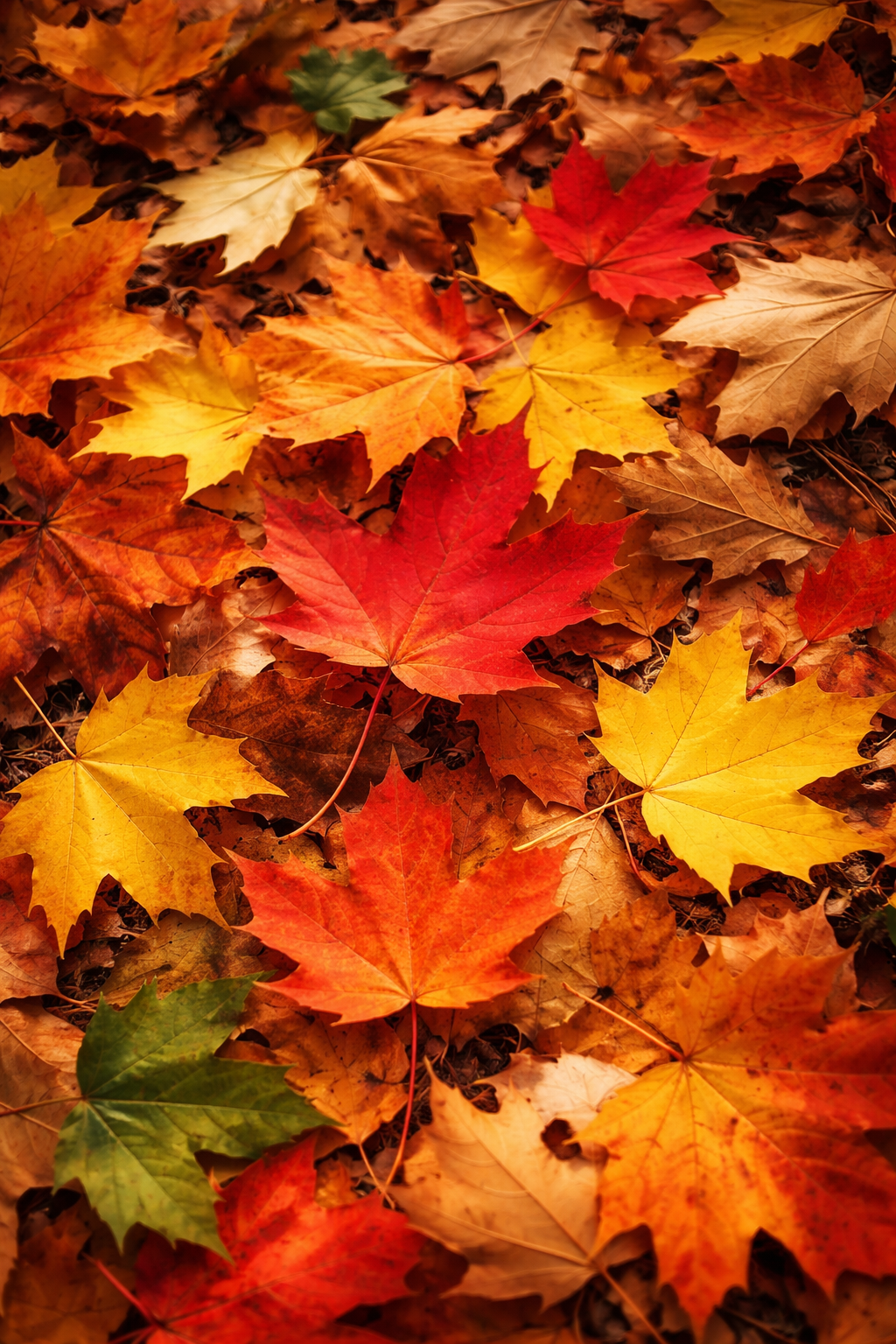 Leaves Scented Aroma Beads