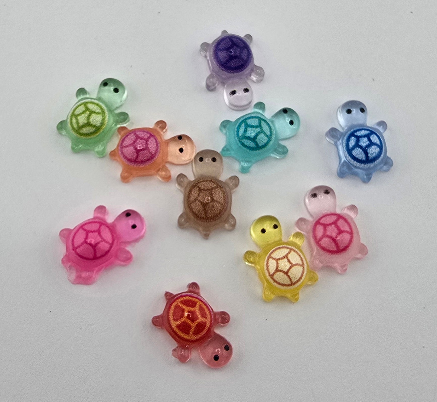 Mini Turtle