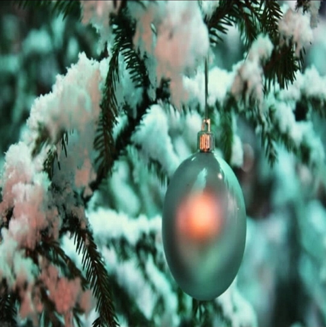Vanilla Bean Noel Scented Aroma Beads