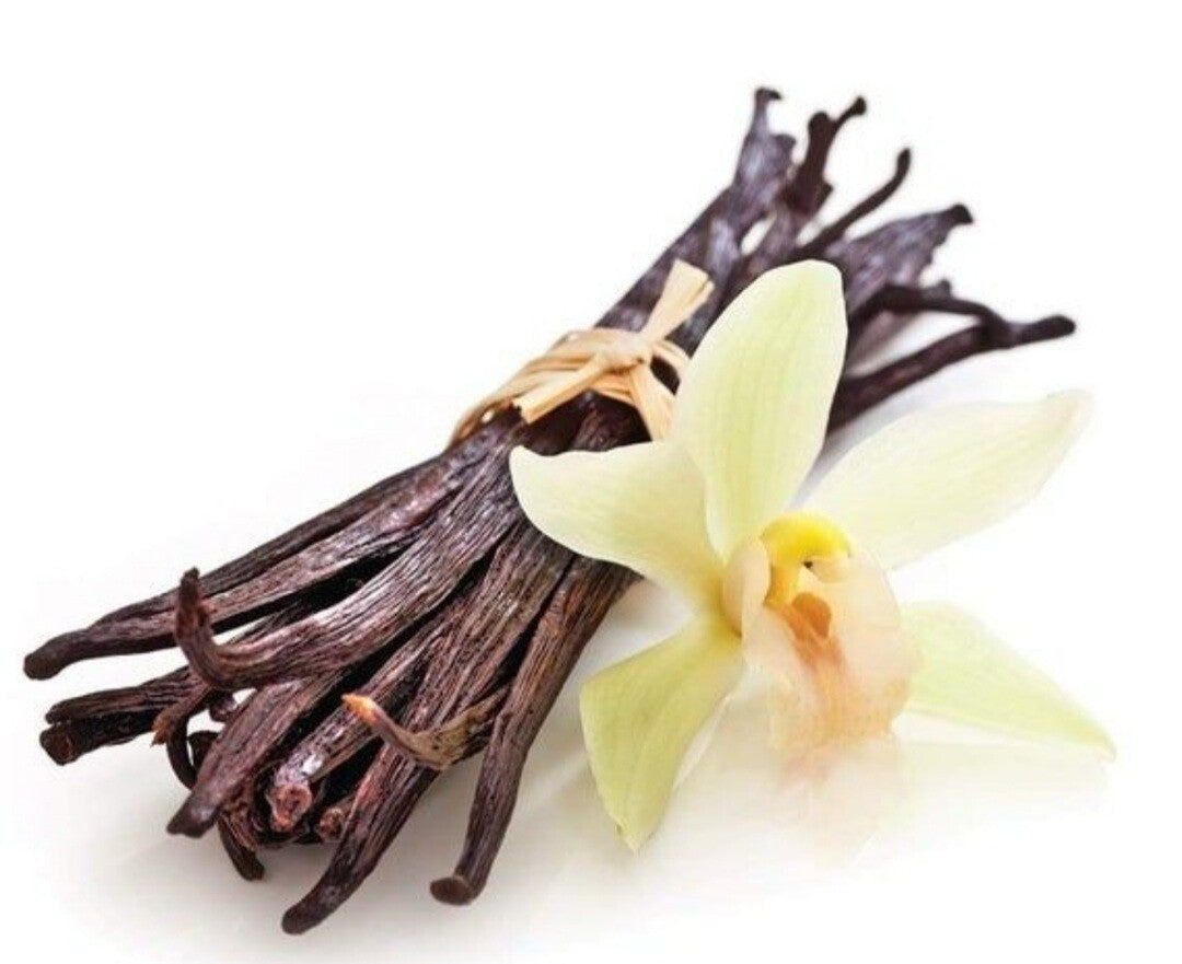 Mexican Vanilla Fragrance Oil