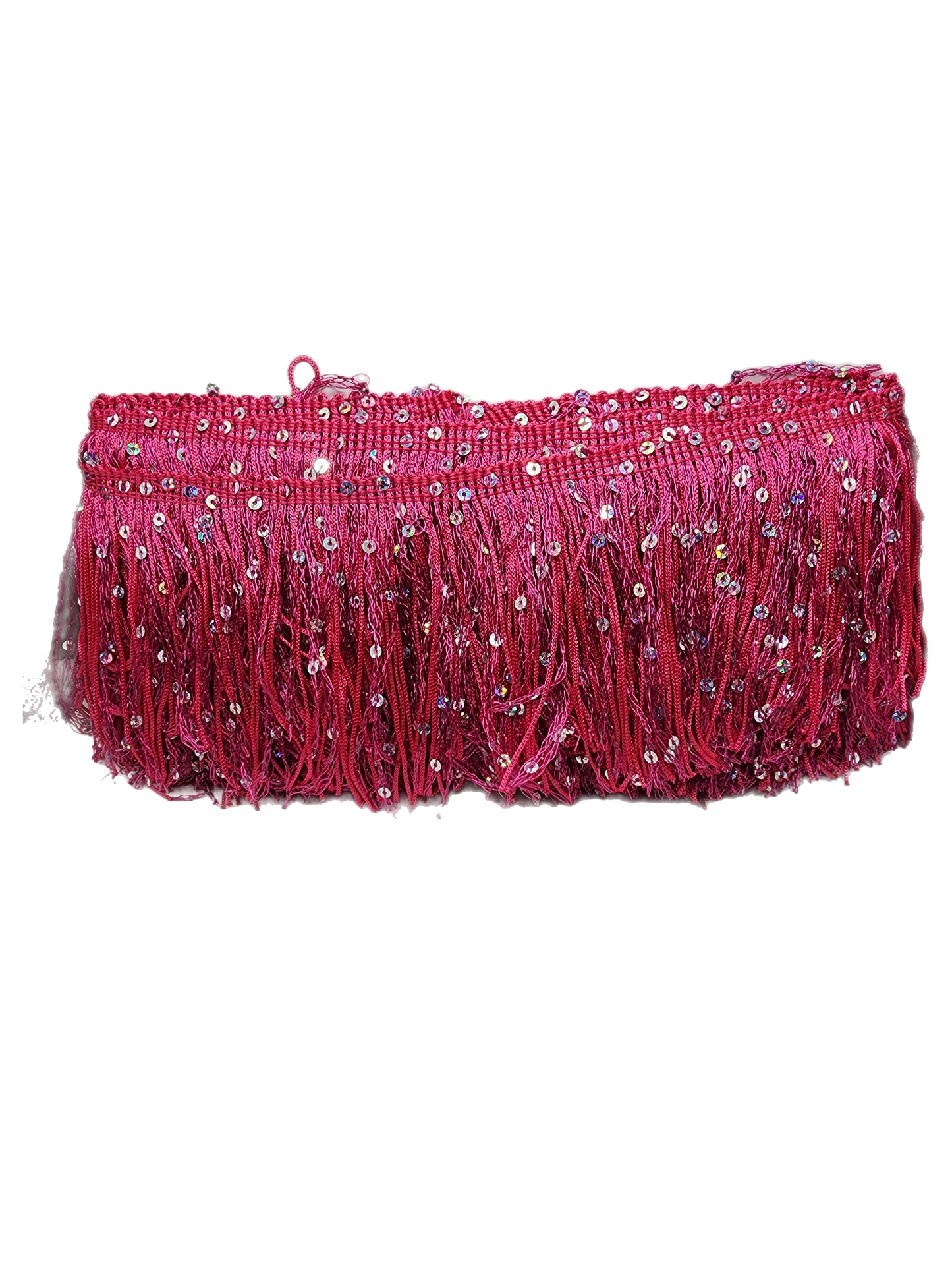 Fuchsia & Silver Sequin Fringe