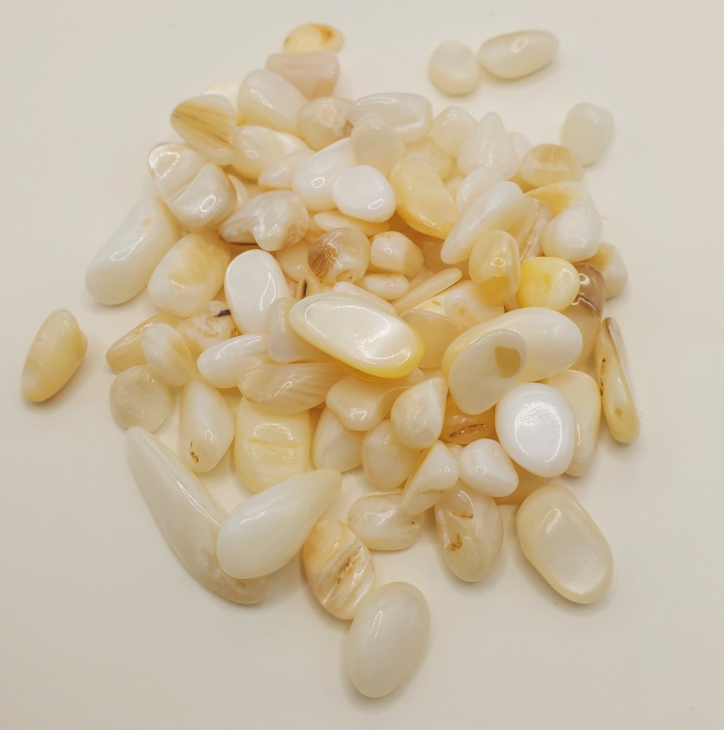 White Seashells Chips