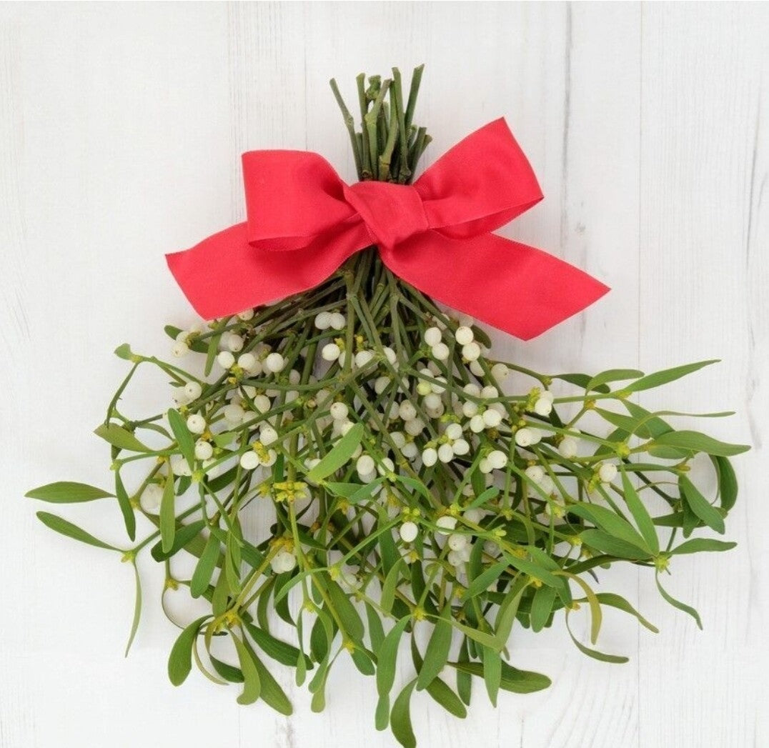 Hillbilly Mistletoe Scented Aroma Beads